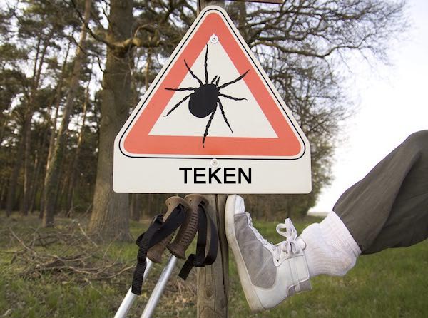 Deze waarschuwingsborden worden in Nederland nog veel te weinig gezien! Waarschuwingsbord voor teken