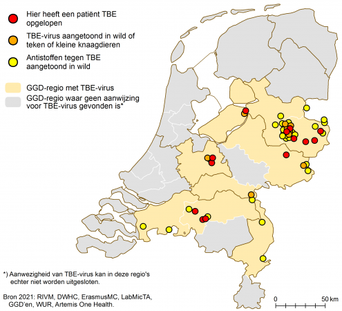 TBE-virus in Nederland