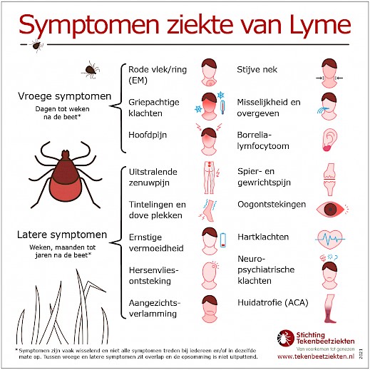 De symptomen van de ziekte van Lyme