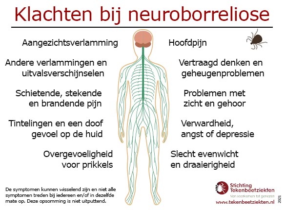 Neuroborreliose, neurologische klachten bij de ziekte van Lyme